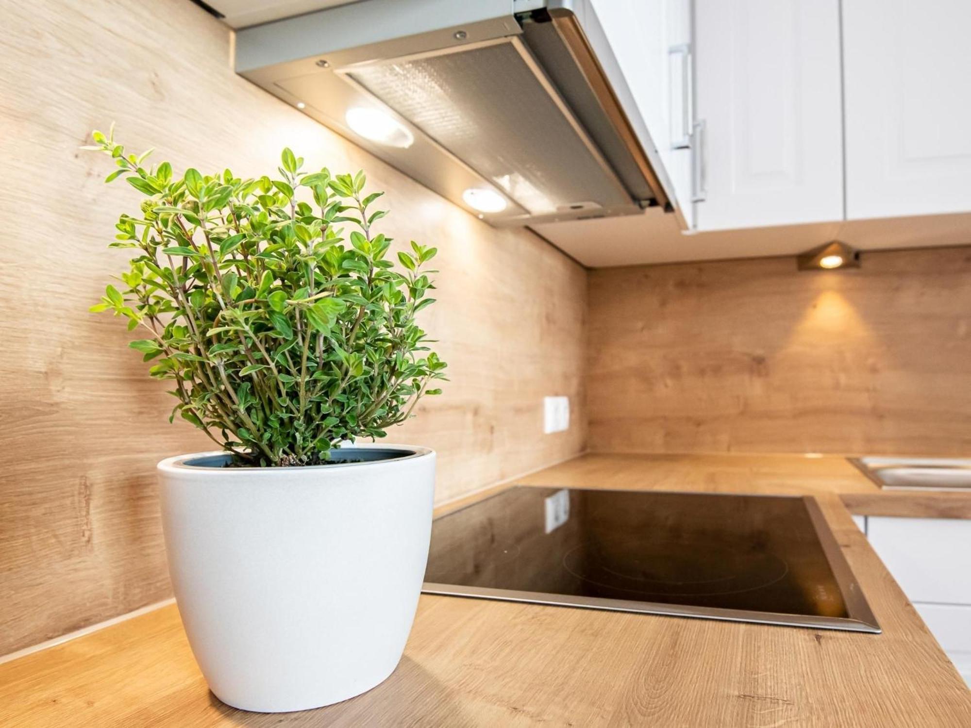 Berolina 804 Penthouse Mit Meerblick Dahme  Exterior foto
